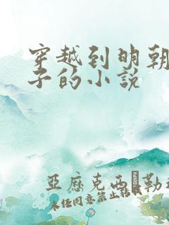 穿越到明朝当太子的小说