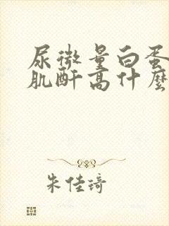 尿微量白蛋白尿肌酐高什么事