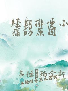 经期排便小腹绞痛的原因