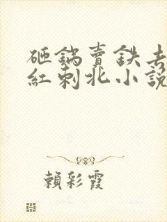 砸锅卖铁去上学红刺北小说未删版