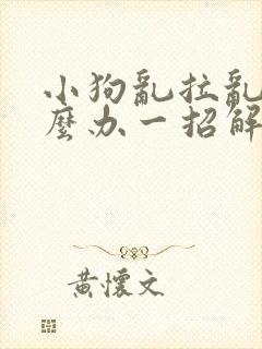 小狗乱拉乱尿怎么办一招解决