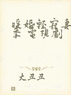 暖婚轻宠妻第二季 电视剧