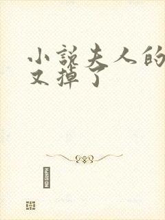 小说夫人的马甲又掉了