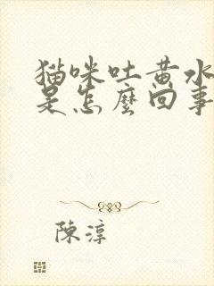 猫咪吐黄水苦水是怎么回事