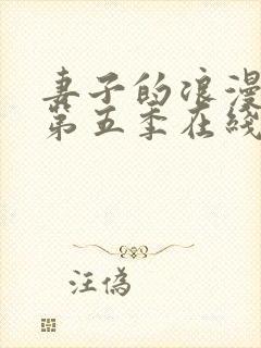 妻子的浪漫旅行第五季在线观看