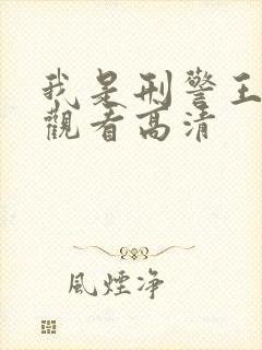 我是刑警王免费观看高清