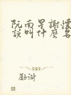 阮南星谢怀瑾小说叫什么名字啊