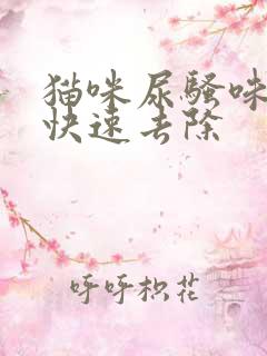 猫咪尿骚味怎么快速去除