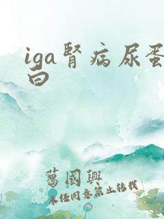 iga肾病尿蛋白
