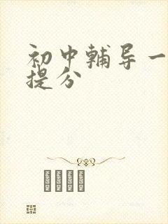 初中辅导一对一提分