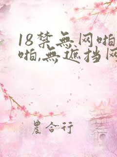 18禁无网啪啪啪,无遮挡网站