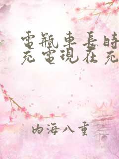 电瓶车长时间没充电现在充不进电怎么办