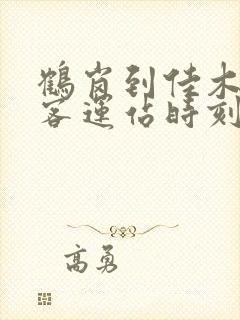 鹤岗到佳木斯的客运站时刻表