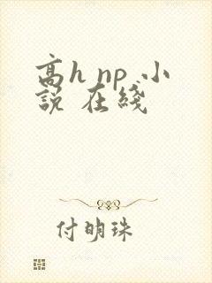 高h np 小说 在线