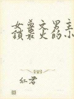 女尊文男主戴贞锁最火的小说