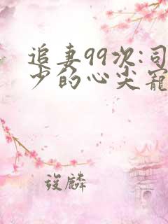 追妻99次:司少的心尖宠