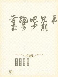 奔跑吧兄弟第三季多少期