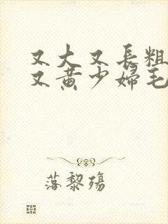 又大又长粗又爽又黄少妇毛片