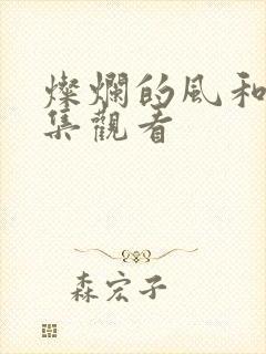 灿烂的风和海全集观看