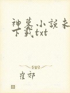 神墓小说未删版下载txt