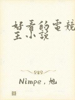 好看的电竞双男主小说