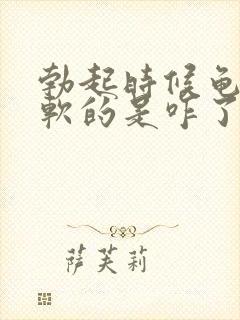 勃起时候龟头是软的是咋了