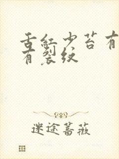 舌红少苔有齿痕有裂纹