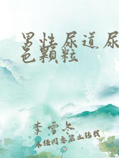 男性尿道尿出白色颗粒