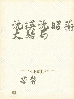 沈瑛沈昭蘅后续大结局