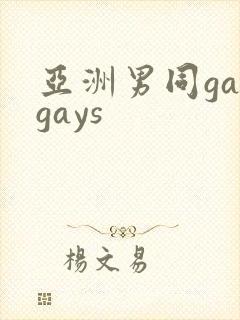 亚洲男同gaygays