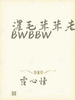 浓毛茸茸老太BBWBBW