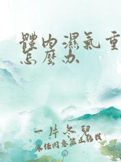 体内湿气重口臭怎么办