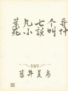 叶凡七个哥哥战死小说叫什么名字