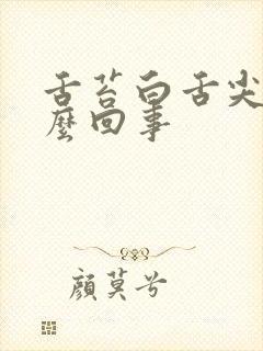 舌苔白舌尖疼怎么回事