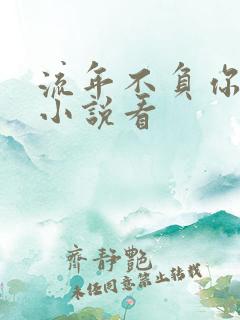流年不负你情深小说看