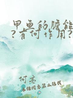 甲鱼的胆能吃吗?有何作用?