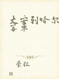 大安到哈尔滨的客车