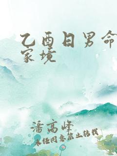 乙酉日男命妻子家境