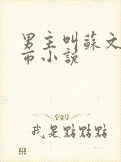 男主叫苏文的都市小说