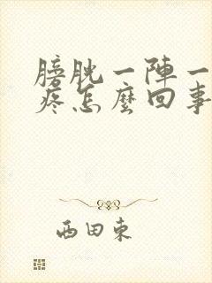 膀胱一阵一阵的疼怎么回事