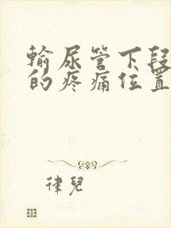 输尿管下段结石的疼痛位置