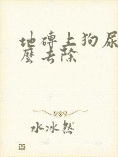 地砖上狗尿味怎么去除