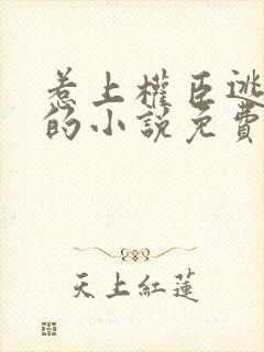 惹上权臣逃不掉的小说免费