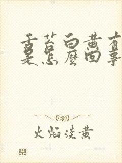 舌苔白黄有裂纹是怎么回事