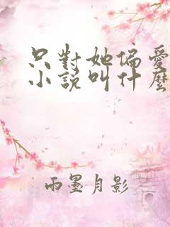 只对她偏爱原著小说叫什么名字