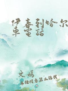 伊春到哈尔滨客车电话