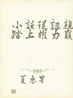 小说从认亲开始踏上权力巅峰格鱼精校版