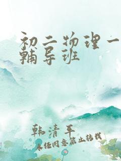 初二物理一对一辅导班