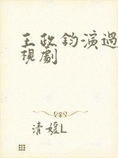 王政钧演过的电视剧