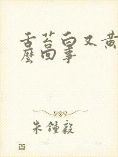 舌苔白又黄是怎么回事